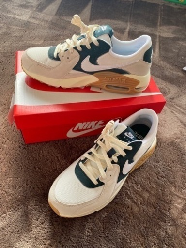 NIKE エアマックスエクシー