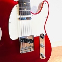 Edwards エドワーズ E-TE-100CTM / LT / CAR