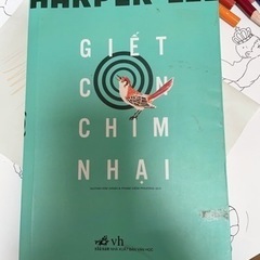 ベトナム語で有名な小説