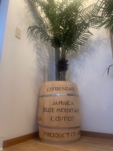 フェイクグリーン　コーヒー樽