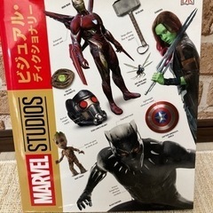 MARVEL STUDIOS マーベル・スタジオ・ビジュアル・デ...