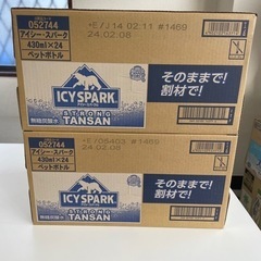 カナダドライアイシースパーク無糖炭酸水2ケース