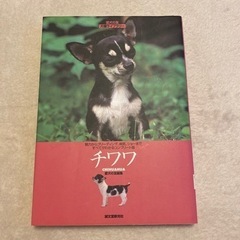 愛犬の友　チワワ