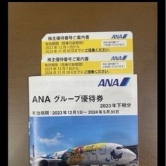 ANA(全日空）株主優待券2024/11/30まで　2枚