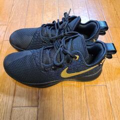 NIKE ナイキ　レブロンウィットネス3 25.5cm