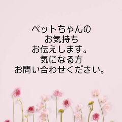 ペットちゃんのお気持ち、亡くなったペットちゃんからのお気持ちも可...