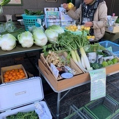 朝市開催！新鮮野菜が安い！