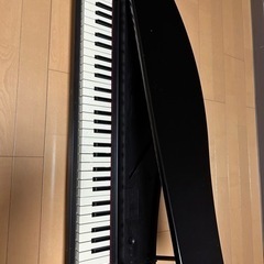 KORG micro Piano