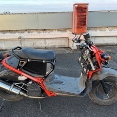 ズーマー　50cc 原付スクーター　バイク　車体　ホンダ　