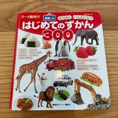 はじめてのずかん300