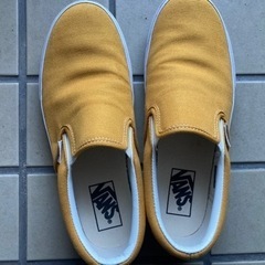 vans スニーカー　24.5