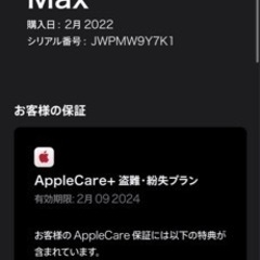 iPhone 13 Pro Max ゴールド256GB SIMフリー