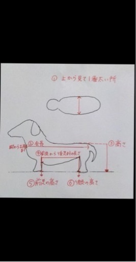 小型犬用車椅子　歩行器　未使用