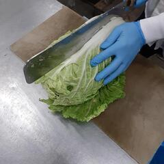 野菜の加工包装