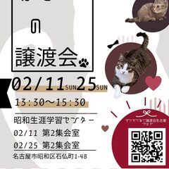 2/25(日)猫の譲渡会　in　名古屋市昭和生涯学習センターの画像