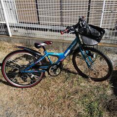 エクスプレスジュニア ダイナモランプモデル 24インチ エメラルドグリーン