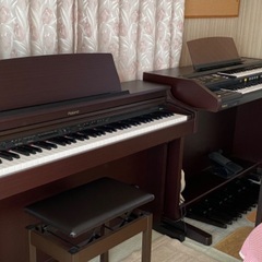 幼児さんから小学6年生までの音楽教室🎵