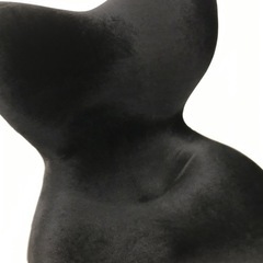 Style PREMIUM DX プレミアムデラックス