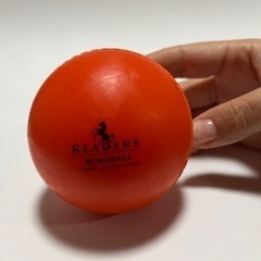 リーダーWindball Practiceクリケットボール