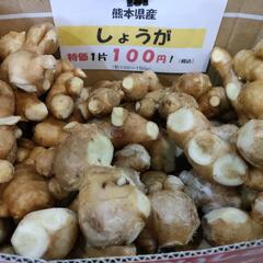 熊本県産生姜一欠片約100~150g 100円