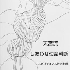 天宮流しあわせ使命判断（スピリチュアル姓名判断）〜メルカリ〜