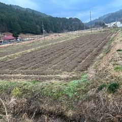 農販売　京都府南丹市日吉町四ツ谷　新規就農始めませんか？