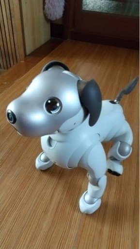 SONY aibo ERS-1000 美品　元箱あり