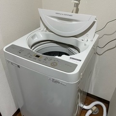 取引先決定　2019年製　SHARP 洗濯機　5.5kg