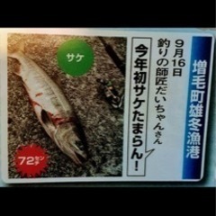 年中釣り道中🎣の仲間大募集！！