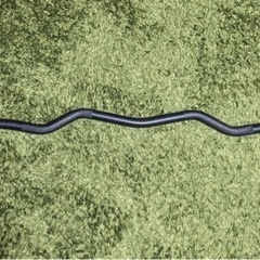 ハーフラック95kg ダンベルトレーニング