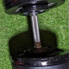 ハーフラック95kg ダンベルトレーニング