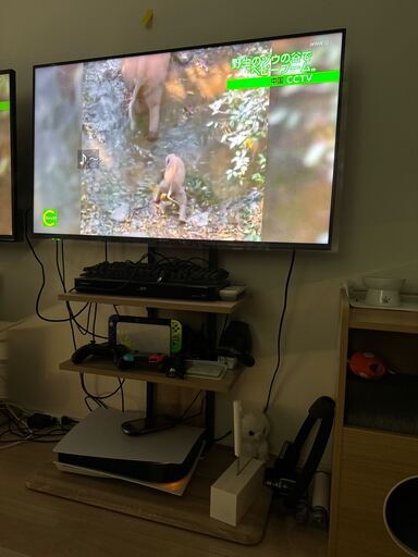 43インチ テレビ テレビスタンド付き Panasonic TH-43EX600