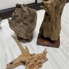 流木セット☆バラ売り可