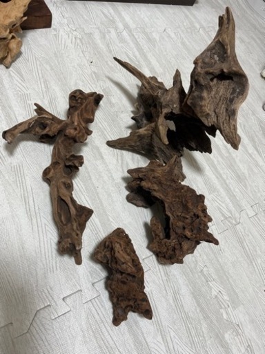 流木セット☆バラ売り可 - その他 