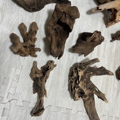 流木セット☆バラ売り可