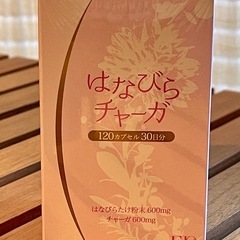 値下げしました♪ ★希少！!希少価値の高いはなびらだけとチャーガ...