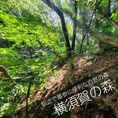 都心からJR路線ですぐにアクセスできる散骨スポット　【横須賀の森】