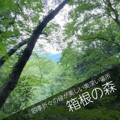 箱根なら旅行気分でお参りできる散骨スポット　【箱根の森】