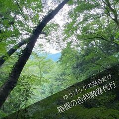 箱根なら旅行気分でお参りできる散骨スポット　【箱根の森】 - 足柄下郡