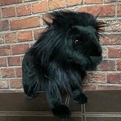 ブラック　ライオン