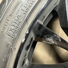 レオニス　直接引き取り大歓迎