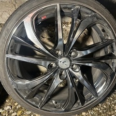 レオニス　直接引き取り大歓迎