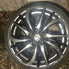 レオニス　直接引き取り大歓迎