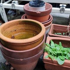 植木鉢　生活雑貨 家庭用品 ガーデニング