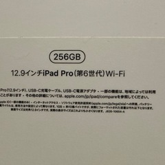 iPad Pro 12.9インチ  256G 現行モデル