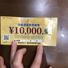 北海道洞爺湖温泉　10,000円分金券