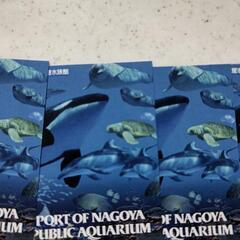（引取り相手決まりました）名古屋港水族館チケット2枚