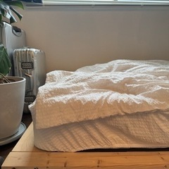 【ネット決済】アイリスオーヤマ　シングルベッド+すのこセット