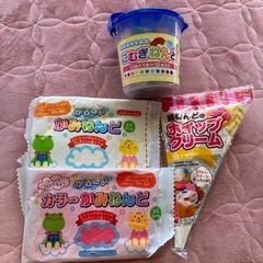 紙粘土でクッキー作り🍪新品