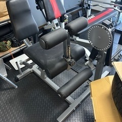 レッグエクス＆カールベンチ/レッグエクステンション レッグカール トレーニング器具 トレーニングマシン 大型マシン